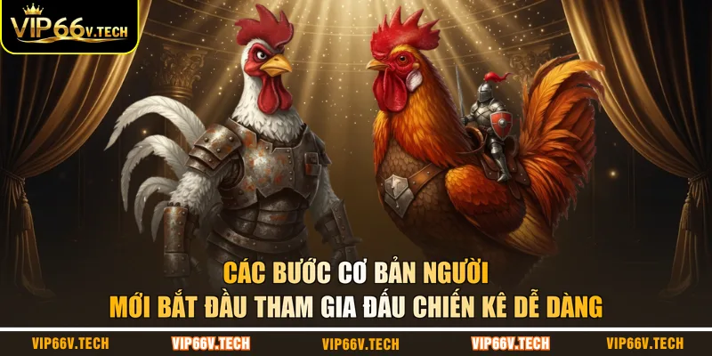 Các bước cơ bản người mới bắt đầu tham gia đấu chiến kê dễ dàng