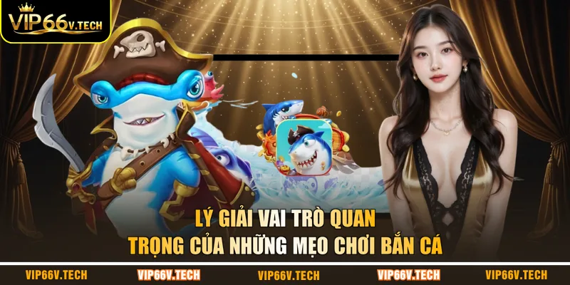Lý giải vai trò quan trọng của những mẹo chơi bắn cá