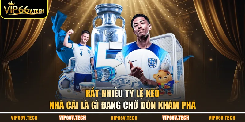 Rất nhiều tỷ lệ kèo nhà cái là gì đang chờ đón khám phá