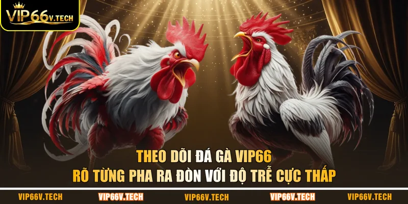 Theo dõi đá gà VIP66 rõ từng pha ra đòn với độ trễ cực thấp